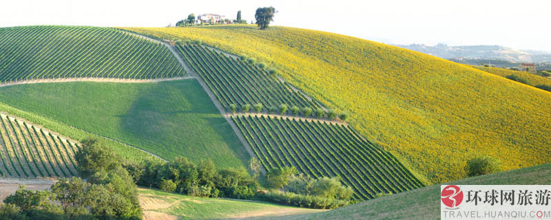 1.ʥ�Ͱ�������˹����Ī˹����԰(Los Alamos Vineyards )