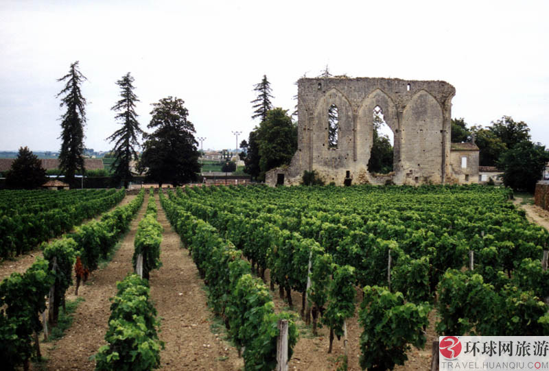 1.ʥ�Ͱ�������˹����Ī˹����԰(Los Alamos Vineyards )