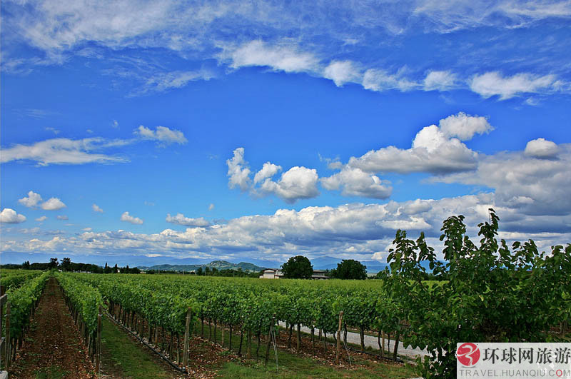 1.ʥ�Ͱ�������˹����Ī˹����԰(Los Alamos Vineyards )