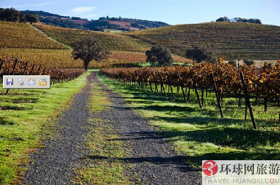 1.ʥ�Ͱ�������˹����Ī˹����԰(Los Alamos Vineyards )