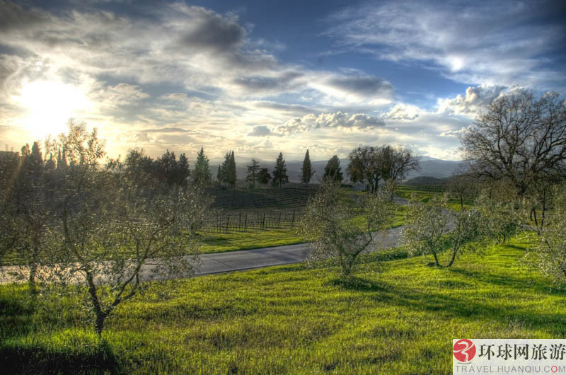 1.ʥ�Ͱ�������˹����Ī˹����԰(Los Alamos Vineyards )