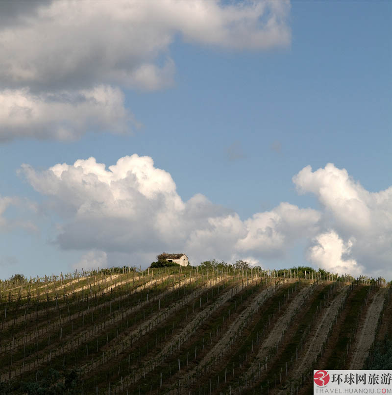 1.ʥ�Ͱ�������˹����Ī˹����԰(Los Alamos Vineyards )