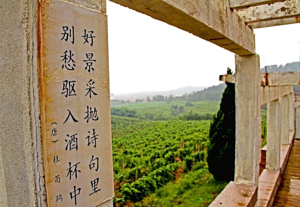 Chinese wine: The Huadong Parry Winery sits on China's east coast in the 