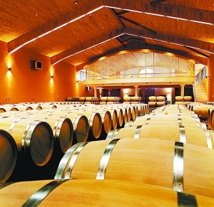 ��ׯ�ƣ������ǻ��ж�Զ��