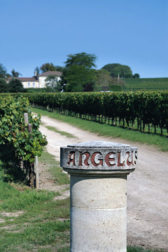 ����������԰