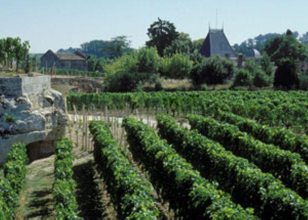 ������˴���ׯ֮����ׯ԰