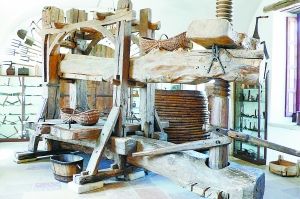 17���͵ľ���ѹե��