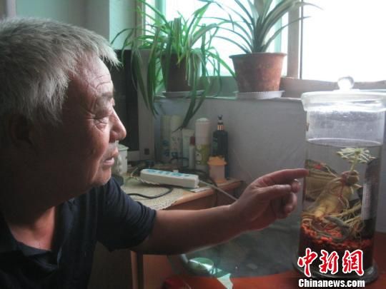 ��������һũ��Ҿ����˲ο�����Ҷ(ͼ)