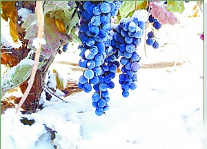 ���ô󣺼��������µĴ�������