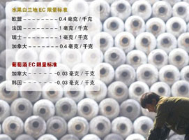 ���ƾƷ粨��������ҵ��׼