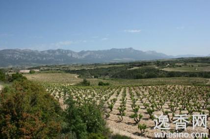 ���������Ѳ���