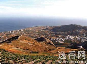 ʥ������