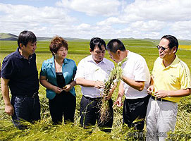 �ھơ�����һ�廯��ս���������