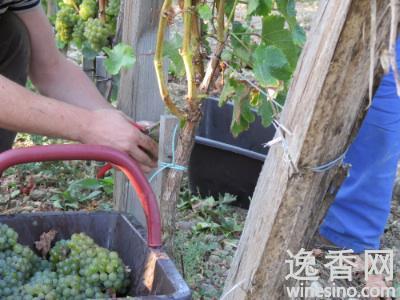 �����������Ʒ��