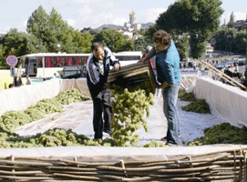 ��³�������ѿ�ե��