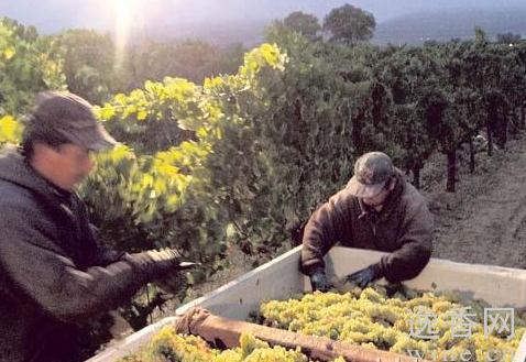 ���Ѳ���