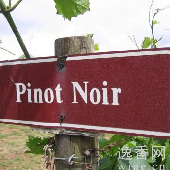 ����������Ʒ�ֺ�Ƥŵǰ������