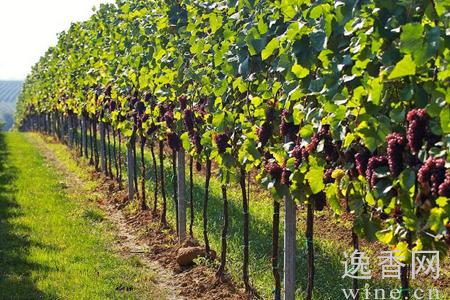 �Ĵ��������Ѿ�