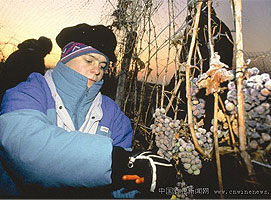 ������Ϯ���¹����ձ�����