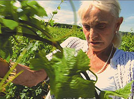 ����һ���ˡ��������ݡ����޵ڵ�һ�꡷