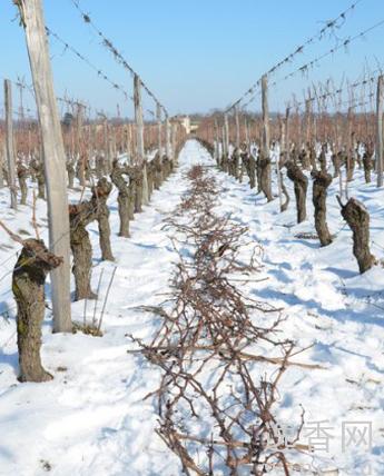 ʥ�����ݷּ�