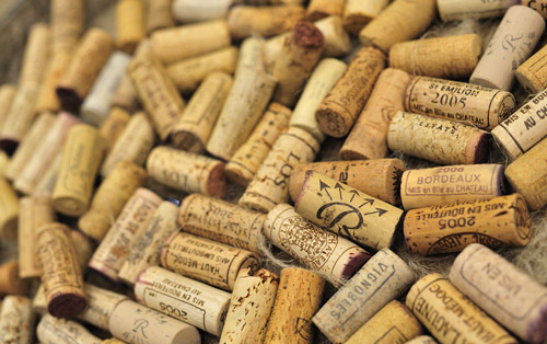 ˭�����ѾƵ��ػ�����ľ��VS������