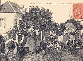 ͸������ƬƷζ�������Ѿ���ʷ