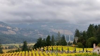 ����˹�������������Զ��������Ѿƣ�ͼ��