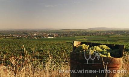 ��˪��Ӱ��2012��ݰµ������ѾƵͲ�����