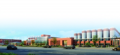 �й�����ơ�ƹ���