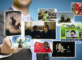 ��ɽ֮ʯ���Թ���