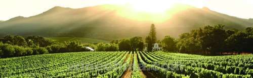 ��˹̹ɯ�����о�֮�����м���Ʈ��