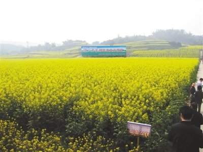 �׾ơ��������ۡ��س�����