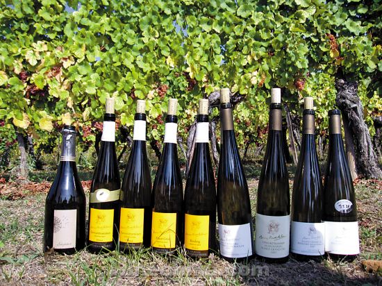 ����ľ���