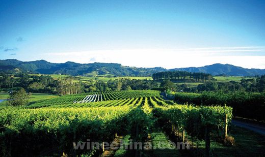 ���������Ѿ�֮�� Ʒζ��ɾ������Ѿ�