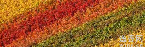 ��������Ѿ�������