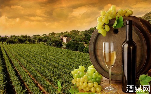 Rabobank����Ӧ���Ŷ�ȫ�����ѾƲ�ҵ��Ӱ��