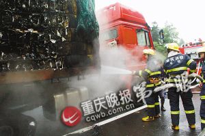 ���������ϵĻ���������