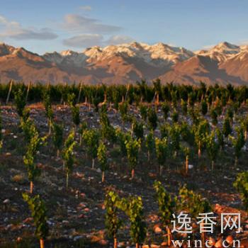 ����͢���Ѿ�