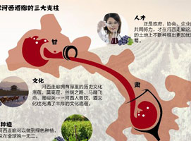 ��ʲô��֧�ź������ȣ�