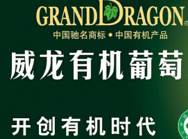 ����IPO�������������Ѿ����㶦����˭���ǵ�������